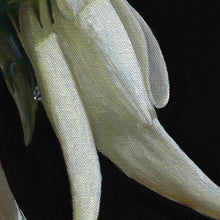 Load image into Gallery viewer, White Kaka Beak | Print
